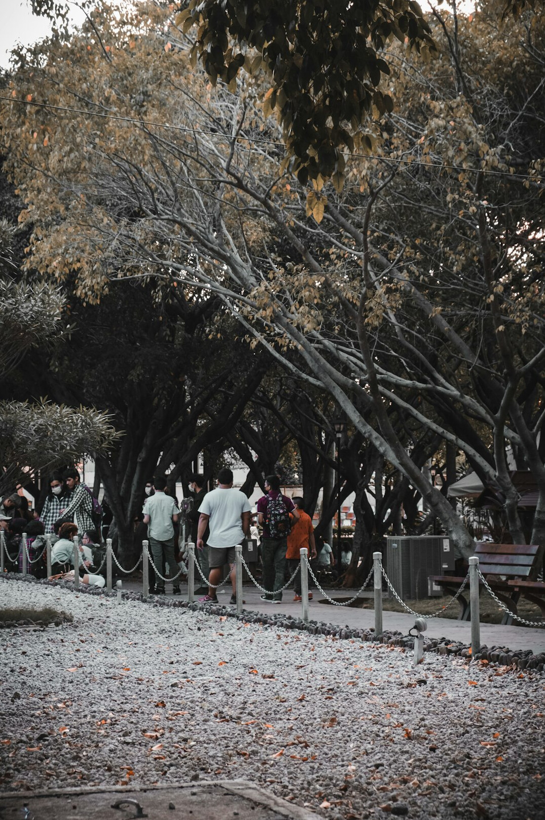 person walking in park
